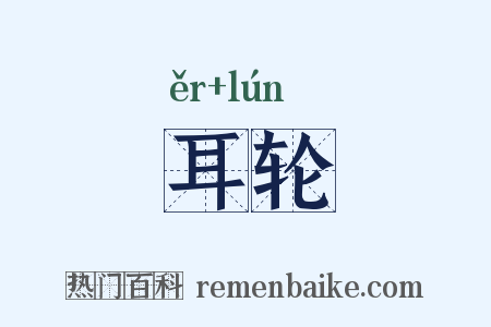 耳轮是什么意思的图片